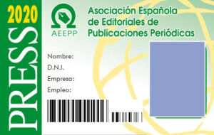Carnés internacional de Prensa AEEPP